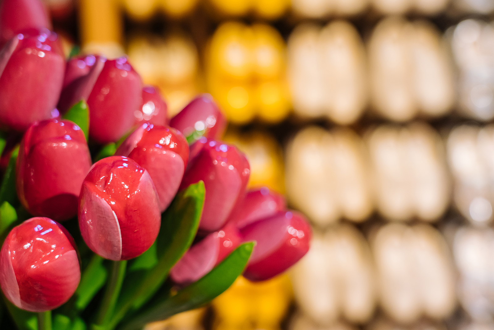 Holandsko - typický suvenýr, tulipán