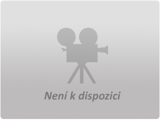 Fotografie není