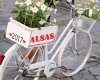 Francie - Alsaská vinná stezka na kole
