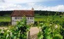 Vinice, vinice a zase vinice - burgundská krajina vinařům a cyklistům zaslíbená.