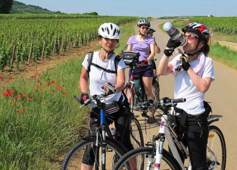 Burgundské vinice a cyklostezky - paráda!