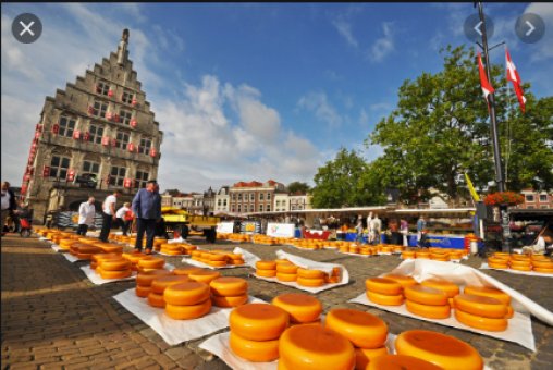 Sýrový trh v Holandsku je velký zážitek